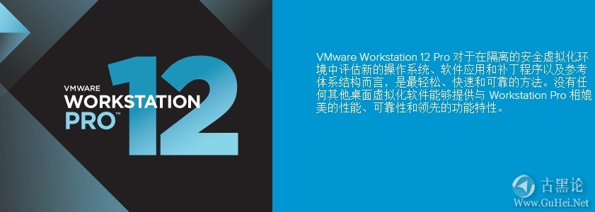 Vmware V12专业版+永久激活密匙 vmware12.jpg