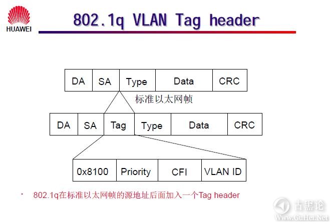 网络工程师之路_第四章|LAN Switch 配置 10-802.1q VLAN Tag header.jpg