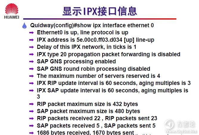 网络工程师之路_第八章|IPX协议及配置 15-显示 IPX 接口信息.jpg