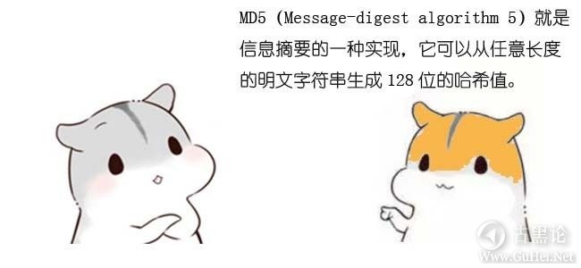 什么是MD5算法？【漫画】 16-漫画：什么是MD5算法？.jpg