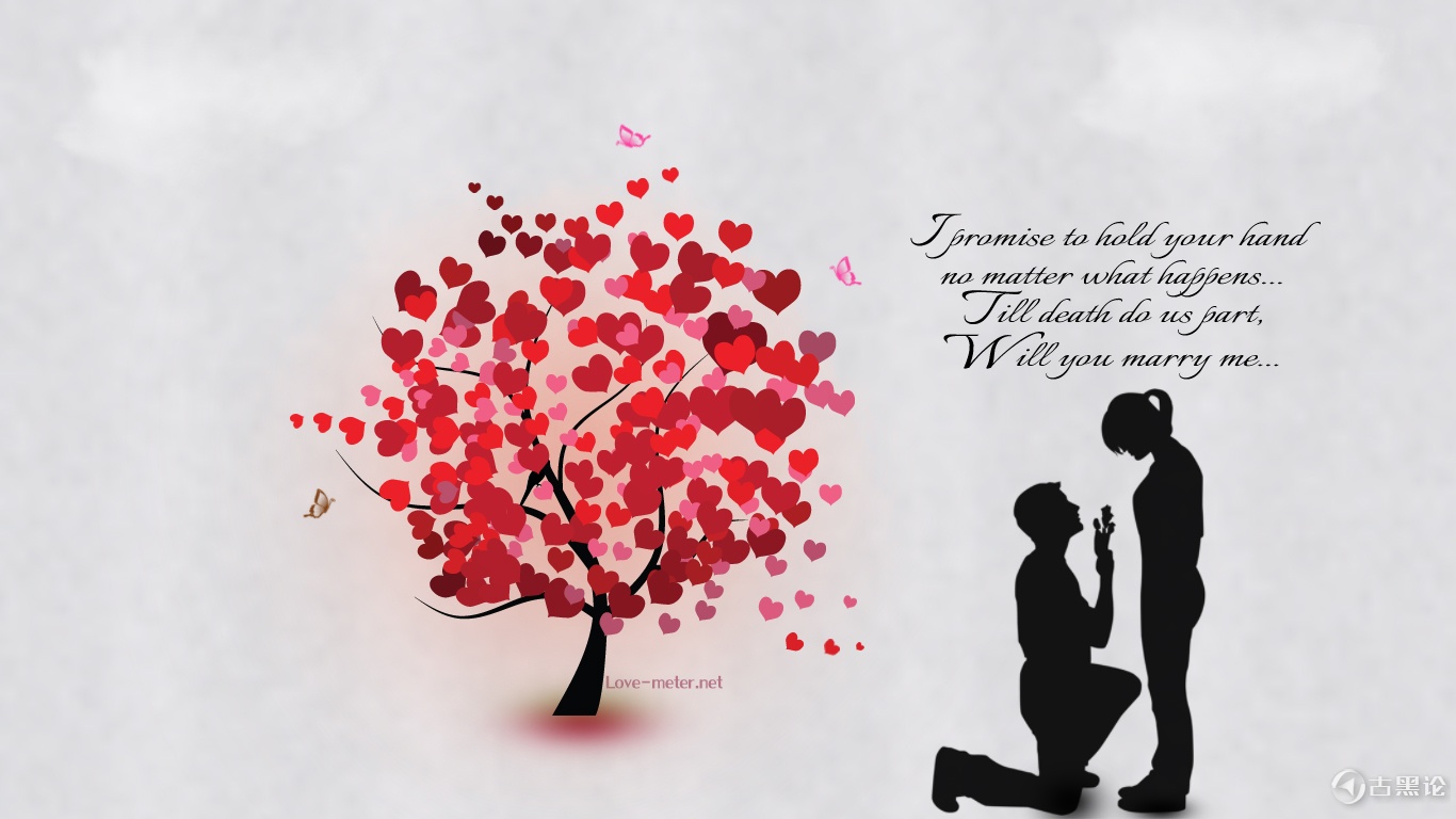 从赵丽颖在微博宣布结婚获得的启示 Will-You-Marry-Me-Quote-HD-Wallpaper.jpg