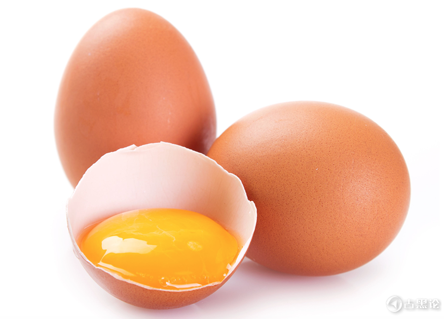 这鸡蛋真难吃，中国特色逻辑大全. png-yolk-can-dogs-eat-egg-yolks-1656.png