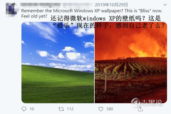 Windows XP默认壁纸的传说 21.png