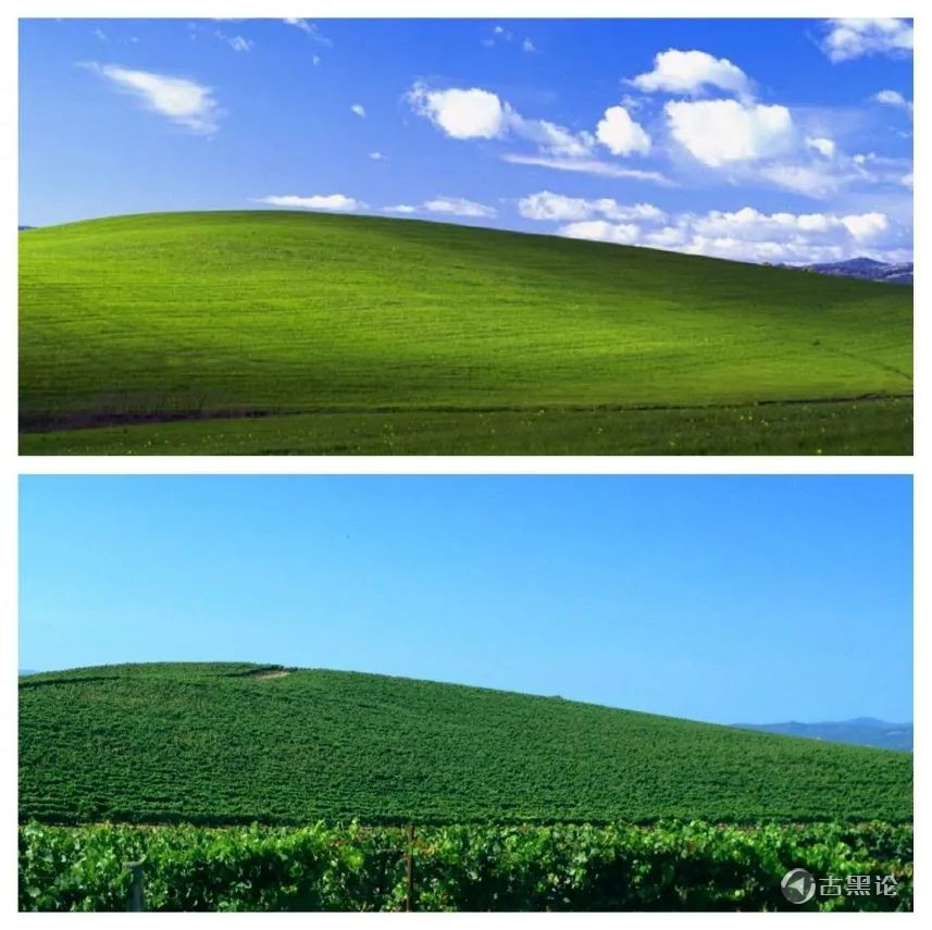 Windows XP默认壁纸的传说 27.jpg