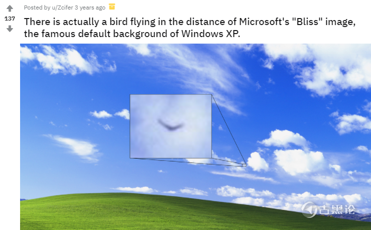 Windows XP默认壁纸的传说 32.png