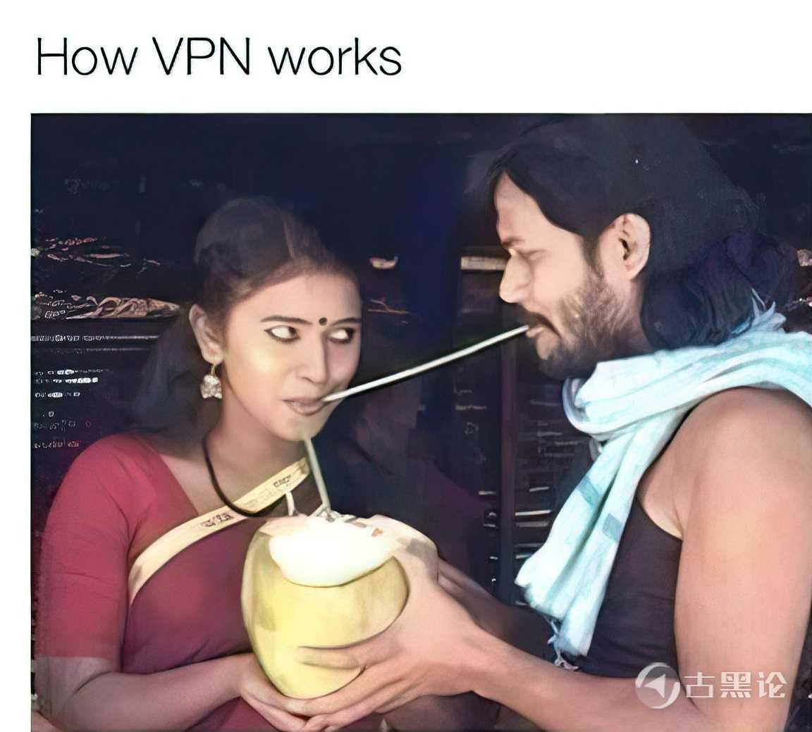 一张图片解释什么是VPN vpn work.jpg